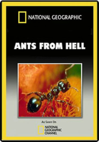 Смотреть онлайн National Geographic. Эти хищные муравьи 