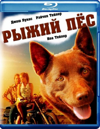 Смотреть онлайн Рыжий пес / Red Dog (2011) фильмы бесплатно 